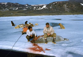 Kolout and Richard Moskal with shot seal on sea ice