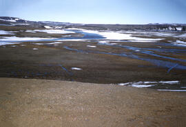 General view of permafrost and ground cover melting due to sun's warm rays. This natural process ...